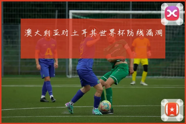 澳大利亚对土耳其世界杯防线漏洞