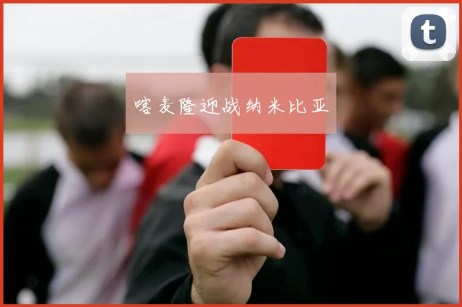 喀麦隆迎战纳米比亚