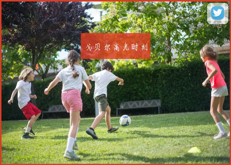 戈贝尔高光时刻