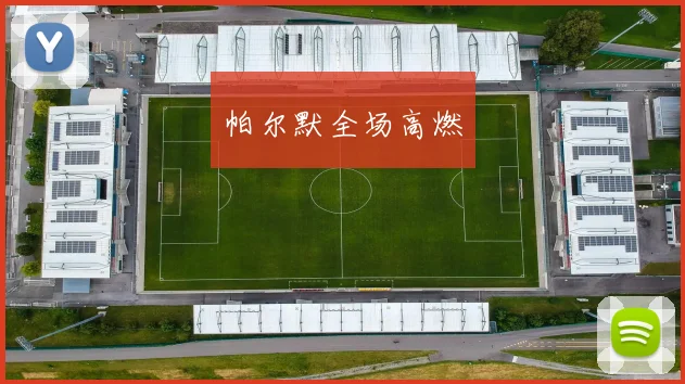 帕尔默全场高燃