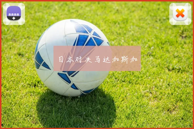 日本对决马达加斯加