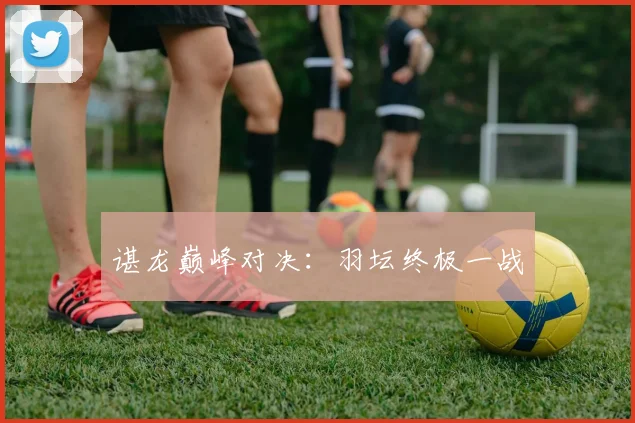 谌龙巅峰对决：羽坛终极一战