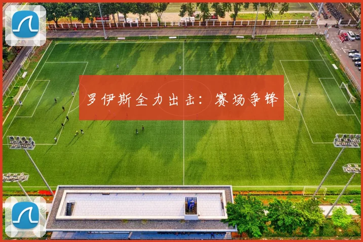 罗伊斯全力出击：赛场争锋