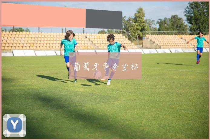 葡萄牙争夺金杯