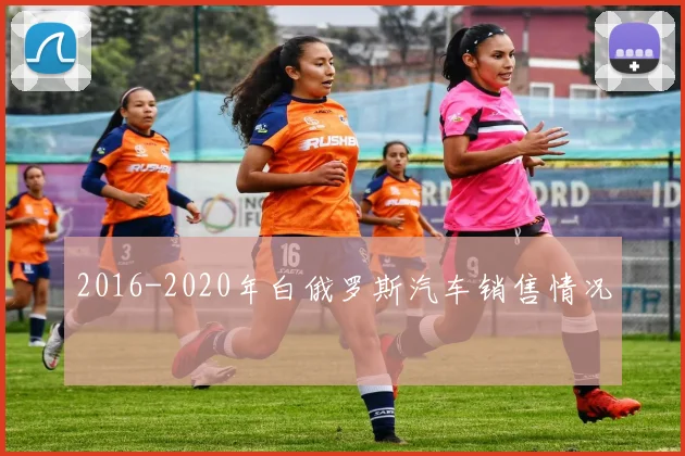2016-2020年白俄罗斯汽车销售情况