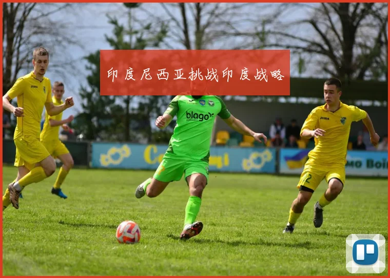 印度尼西亚挑战印度战略