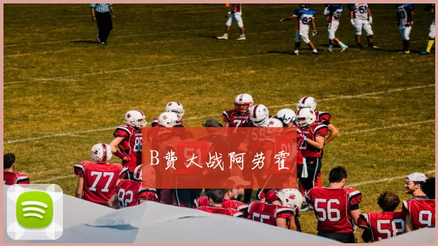 B费大战阿劳霍