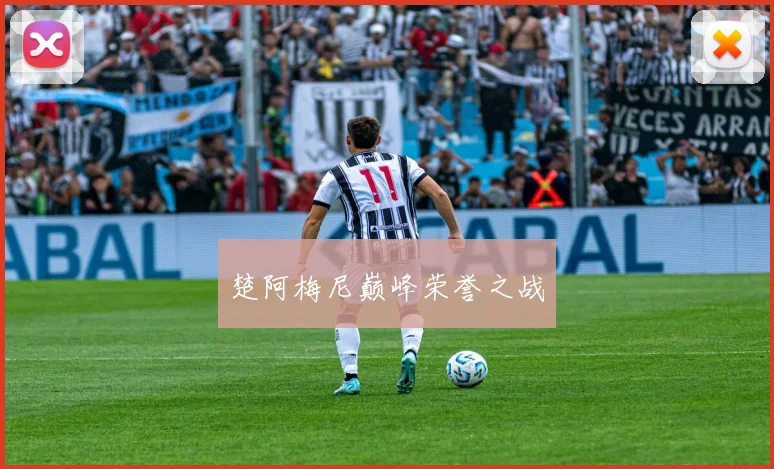 楚阿梅尼巅峰荣誉之战