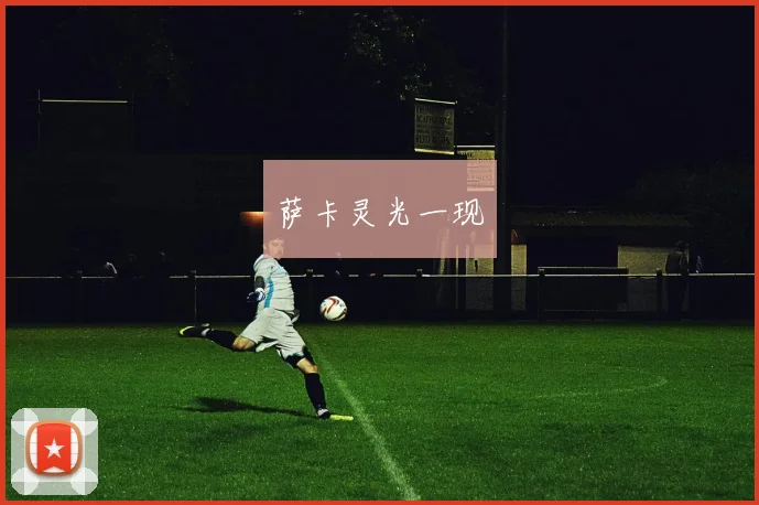 萨卡灵光一现