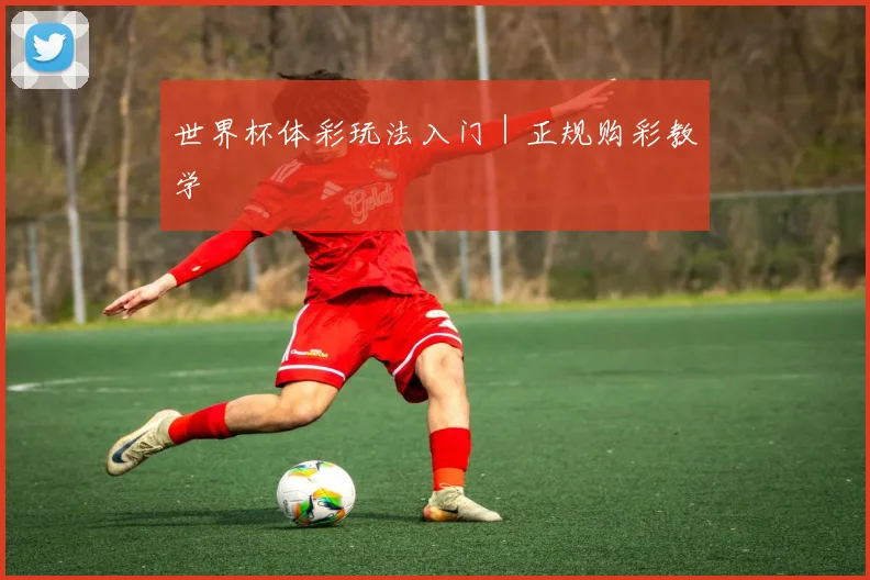 世界杯体彩玩法入门｜正规购彩教学