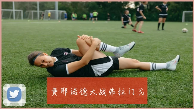 费耶诺德大战弗拉门戈