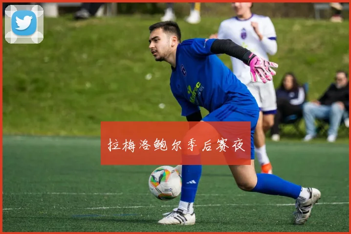 拉梅洛鲍尔季后赛夜