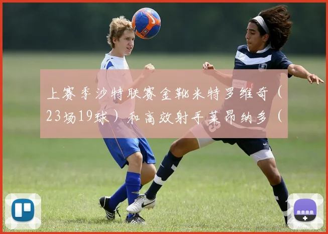 上赛季沙特联赛金靴米特罗维奇（23场19球）和高效射手莱昂纳多（24场17球）将承担攻城拔寨的重任