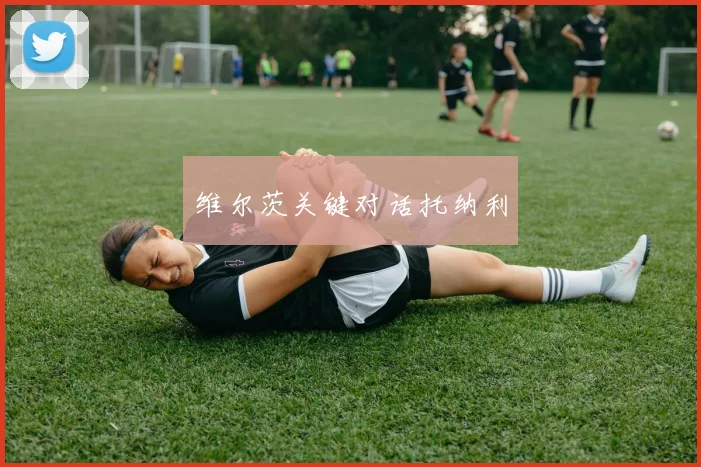 维尔茨关键对话托纳利