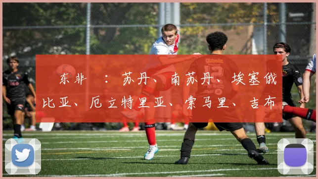 ‌东非‌：苏丹、南苏丹、埃塞俄比亚、厄立特里亚、索马里、吉布提、肯尼亚、坦桑尼亚、乌干达、卢旺达、布隆迪、塞舌尔