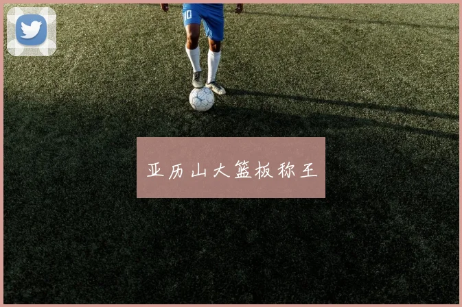 亚历山大篮板称王