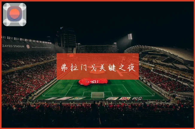 弗拉门戈关键之夜