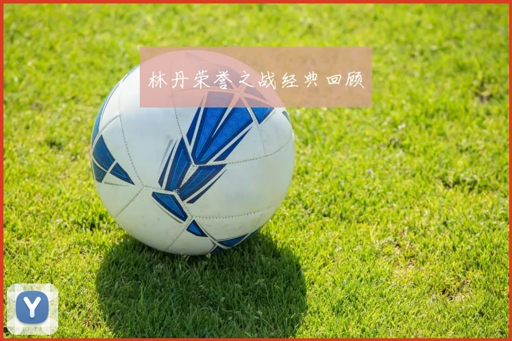 林丹荣誉之战经典回顾