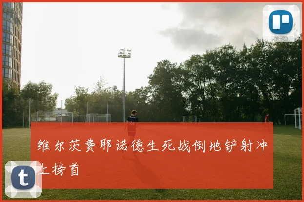 维尔茨费耶诺德生死战倒地铲射冲上榜首