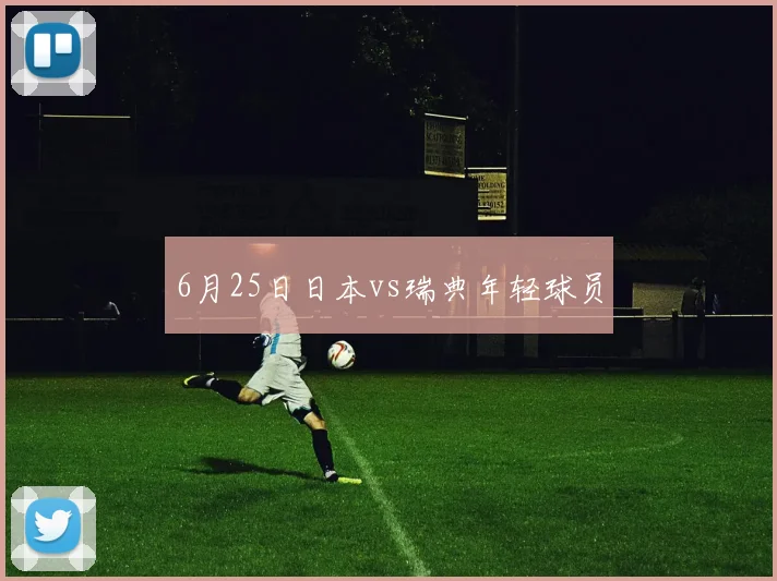 6月25日日本vs瑞典年轻球员