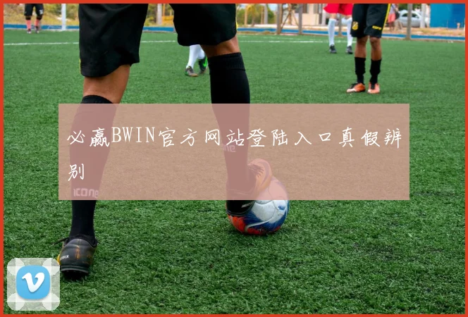 必赢BWIN官方网站登陆入口真假辨别