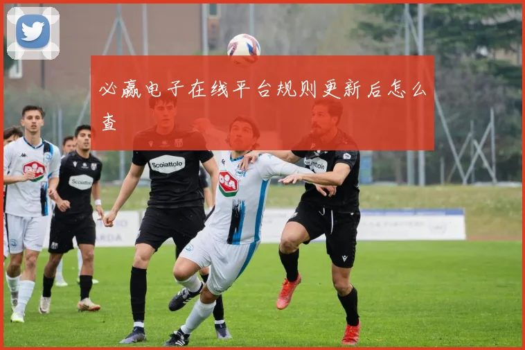 必赢电子在线平台规则更新后怎么查