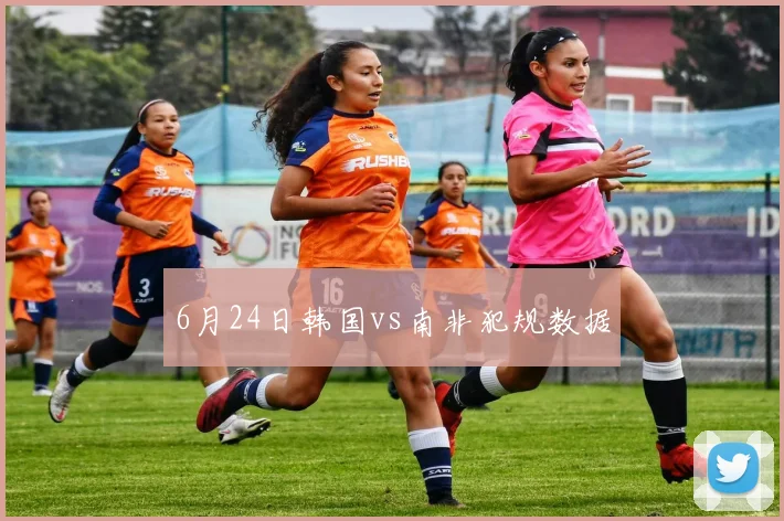 6月24日韩国vs南非犯规数据