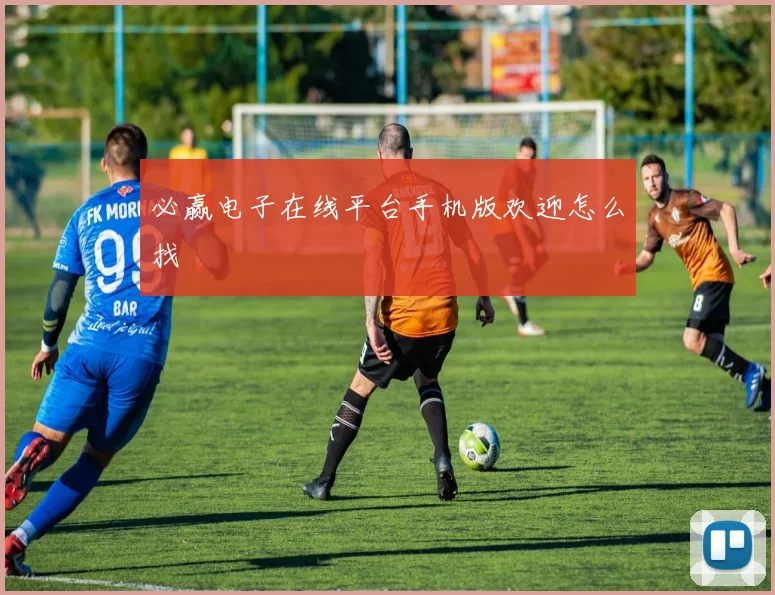 必赢电子在线平台手机版欢迎怎么找